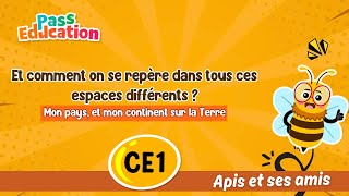Et comment on se repère dans tous ces espaces différents ? – CE1 – Vidéo – Apis & ses amis - Cycle 2