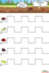 Exercice Les insectes - Créneaux - GS - Apprendre à découper - PDF à imprimer