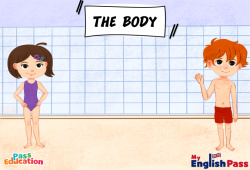 The body - Vocabulaire - Vidéo interactive - Apprends l'anglais avec Kelly and James