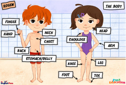 Leçon The body - Vocabulaire - Leçon/Flashcard - Apprends l'anglais avec Kelly and James - PDF à imprimer