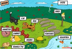 Leçon Animals (Pets) - Vocabulaire - Leçon/Flashcard - Apprends l'anglais avec Kelly and James - PDF à imprimer