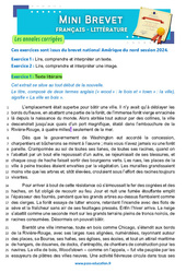 Wood’stown – A. Daudet - 3ème - Mini-brevet - Français - Annales corrigées - PDF à imprimer