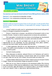 L’enfant multiple - A. Chedid - 3ème - Mini-brevet - Français - Annales corrigées - PDF à imprimer