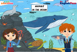 Animals in the Ocean - Vocabulaire - Vidéo interactive - Apprends l'anglais avec Kelly and James