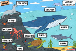 Leçon Animals in the Ocean - Vocabulaire - Leçon/Flashcard - Apprends l'anglais avec Kelly and James - PDF à imprimer