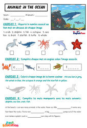 Exercice Animals in the Ocean - Vocabulaire - Exercices - Apprends l'anglais avec Kelly and James - PDF à imprimer