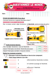 Exercice Réaliser un circuit électrique en toute sécurité – CP – Exercices – Apis & ses amis - Cycle 2 - PDF à imprimer