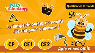 La lampe de poche, comment elle fait pour s’allumer ? – CP – CE1 – CE2 – Vidéo pédagogique – Apis & ses amis - Cycle 2