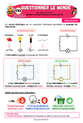 Leçon Réaliser un circuit électrique en toute sécurité – CE1 – Leçon – Apis & ses amis - Cycle 2 - PDF à imprimer
