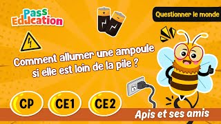Comment allumer une ampoule si elle est loin de la pile ? – CP – CE1 – CE2 – Vidéo pédagogique – Apis & ses amis - Cycle 2
