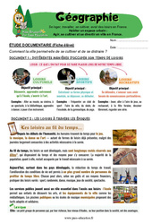 Agir, se cultiver et se divertir en ville en France – Cm1 – Exercices – Miss Boussole - Cycle 3 - PDF à imprimer
