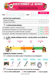 Evaluation L’évolution de la société au fil du temps – CP – Evaluation – Apis & ses amis - Cycle 2 - PDF à imprimer