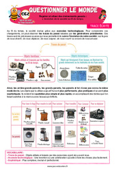 Leçon L’évolution de la société au fil du temps – CE2 – Leçon – Apis & ses amis - Cycle 2 - PDF à imprimer