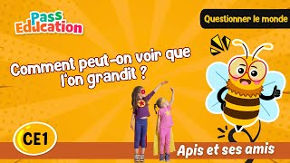 Comment peut-on voir que l’on grandit ? – CE1 – Vidéo – Apis & ses amis - Cycle 2