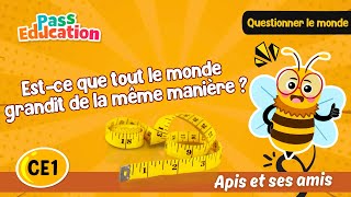 Est-ce que tout le monde grandit de la même manière ? – CE1 – Vidéo – Apis & ses amis - Cycle 2