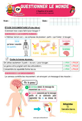 Exercice Le mouvement corporel – CP – Exercices – Apis & ses amis - Cycle 2 - PDF à imprimer