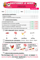 Evaluation Le mouvement corporel – CP – Evaluation – Apis & ses amis - Cycle 2 - PDF à imprimer