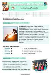 Exercice La fraternité et l’empathie – CM1 – Exercices – EMC - Cycle 3 - PDF à imprimer