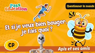 Vidéo Et si je veux bien bouger, je fais quoi ?  – CP – Vidéo – Apis & ses amis - Cycle 2