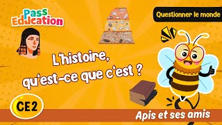 L’histoire, qu’est-ce que c’est ? – CE2 – Vidéo – Apis & ses amis - Cycle 2
