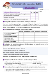 Evaluation Les expansions du groupe nominal (GN) - Cm2 - Evaluation avec la correction - Cycle 3 - PDF à imprimer