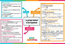 Le groupe nominal et ses expansions - 5ème - Vidéo pédagogique interactive + Carte mentale