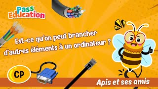 Est-ce qu’on peut brancher d’autres éléments à un ordinateur ? – CP – Vidéo – Apis & ses amis - Cycle 2