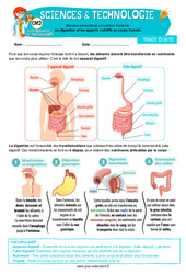 La digestion et les apports nutritifs au corps humain – Cm2 – Leçon – Edith Eprouvette - PDF à imprimer