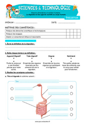 La digestion et les apports nutritifs au corps humain – Cm2 – Evaluation – Edith Eprouvette - PDF à imprimer