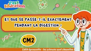 Et que se passe-t-il exactement pendant la digestion ? – Cm2 – Vidéo – Edith Eprouvette