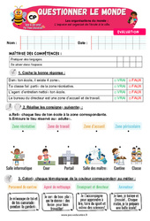 L’espace est organisé de l’école à la ville – CP – Evaluation – Apis & ses amis - PDF à imprimer