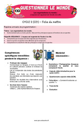 L’espace est organisé de l’école à la ville – CE1 – Séquence + vidéo – Apis & ses amis