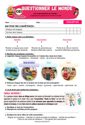 L’espace est organisé de l’école à la ville – CE1 – Evaluation – Apis & ses amis - PDF à imprimer