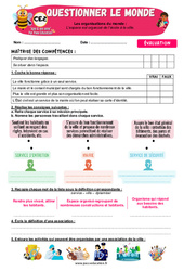 L’espace est organisé de l’école à la ville – CE2 – Evaluation – Apis & ses amis - PDF à imprimer