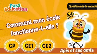 Comment mon école fonctionne-t-elle ? – CP – CE1 –  CE2 – Vidéo pédagogique – Apis & ses amis - Cycle 2