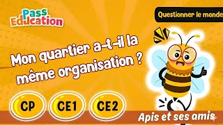 Mon quartier a-t-il la même organisation ? – CP – CE1 –  CE2 – Vidéo pédagogique – Apis & ses amis - Cycle 2