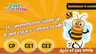 Et comment fonctionne un grand espace comme la ville ? – CP – CE1 –  CE2 – Vidéo pédagogique – Apis & ses amis - Cycle 2