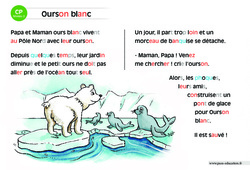 Ourson blanc - CP - Lecture interactive - Luminéo - Niveau 2