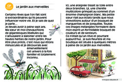 Le jardin aux merveilles - CP - Lecture interactive - Luminéo - Niveau 3