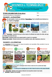 Exercice Le fonctionnement d’un écosystème – Cm1 – Exercices – Edith Eprouvette - Cycle 3 - PDF à imprimer