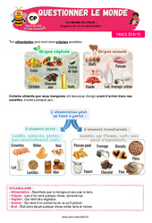 Hygiène de vie et alimentation – CP – Leçon – Apis & ses amis - Cycle 2 - PDF à imprimer