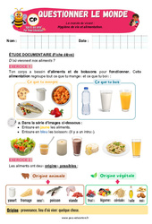 Hygiène de vie et alimentation – CP – Exercices – Apis & ses amis - PDF à imprimer