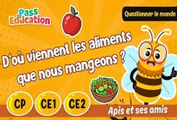 D’où viennent les aliments que l’on mange ? – CP – Vidéo – Apis & ses amis - Cycle 2