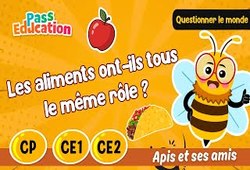 Les aliments ont-ils tous le même rôle&nbsp;? – CE2 – Vidéo – Apis & ses amis