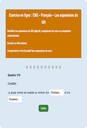 Leçon, exercice et évaluation :<br/> Les expansions du Groupe nominal : CM2 - Exercice en ligne - Cycle 3
