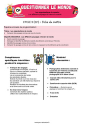 Les différents paysages à travers le monde – CP – Séquence + vidéo – Apis & ses amis - Cycle 2 - PDF à imprimer