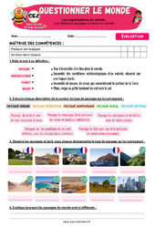 Les différents paysages à travers le monde – CE2 – Evaluation – Apis & ses amis - Cycle 2 - PDF à imprimer