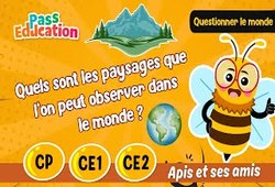 Vidéo Quels sont les paysages que l’on peut observer dans le monde&nbsp;? – CP – CE1 – CE2 – Vidéo – Apis & ses amis - Cycle 2