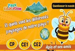 Vidéo Et quels sont les différents paysages de notre pays&nbsp;? – CP – CE1 – CE2 – Vidéo – Apis & ses amis - Cycle 2