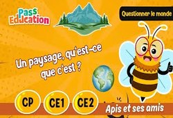 Un paysage, qu’est-ce que c’est&nbsp;? – CP – CE1 – CE2 – Vidéo – Apis & ses amis